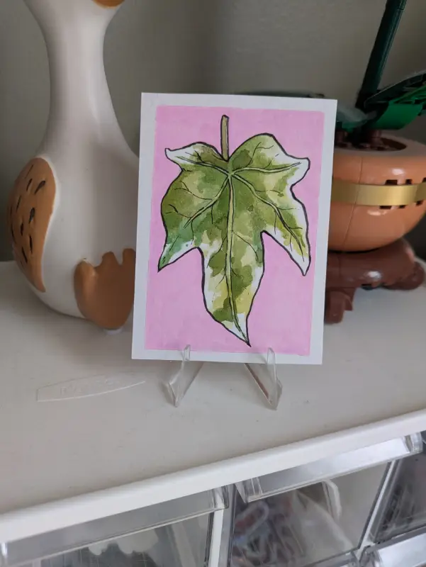 Ivy Leaf aceo art card