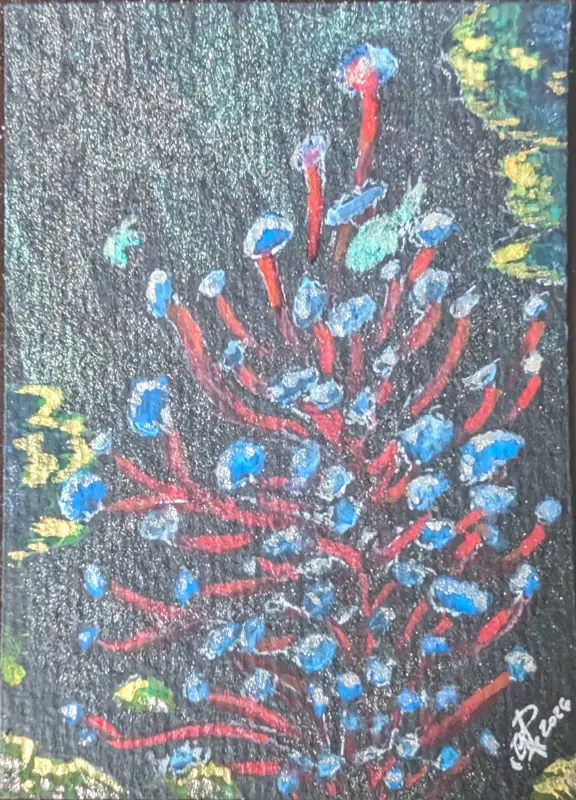 Sea life aceo art card