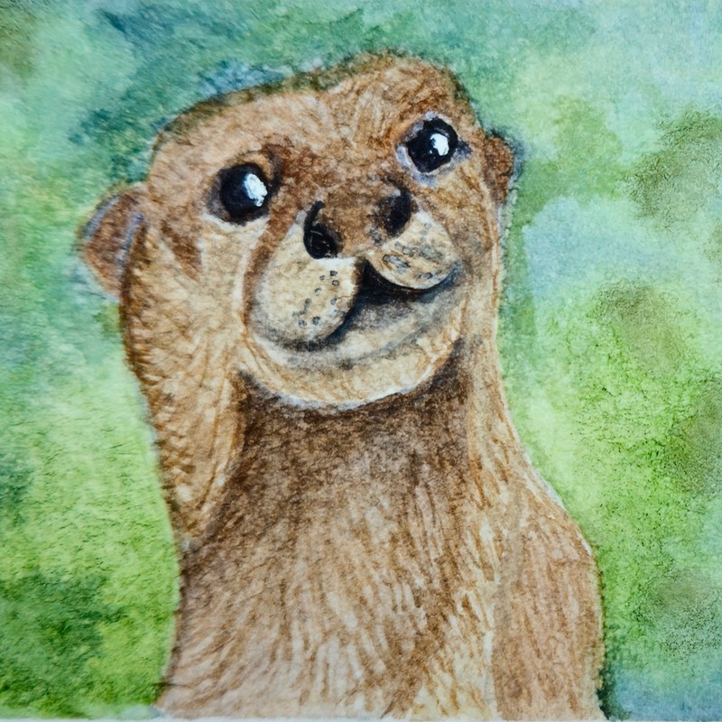 The Otter Ones - Buck aceo art card