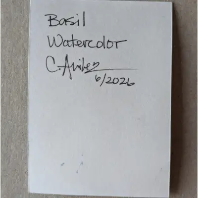 Basil aceo art card thumbnail 3