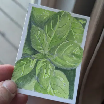 Basil aceo art card thumbnail 2
