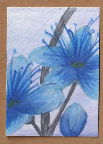 Blue Flowers 2 aceo art card
