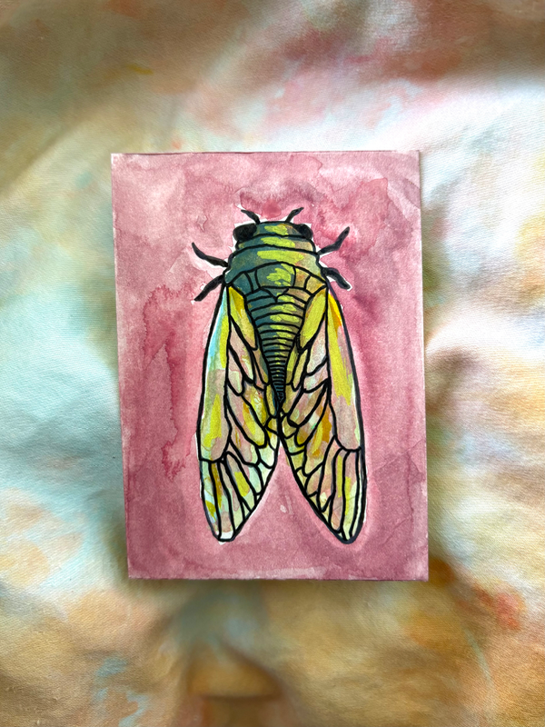 Cicada aceo art card