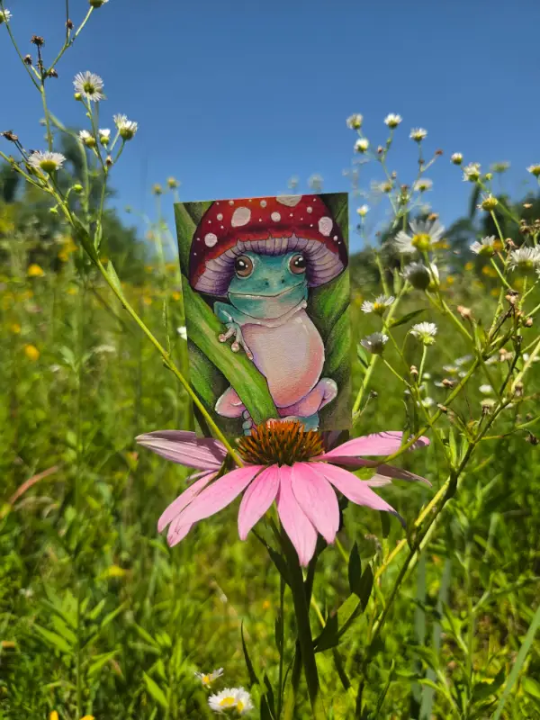 Frog Marley - Original ACEO aceo art card