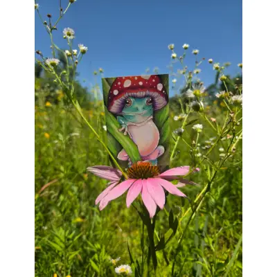 Frog Marley - Original ACEO aceo art card thumbnail 1