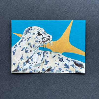 harbor seal aceo art card thumbnail 1