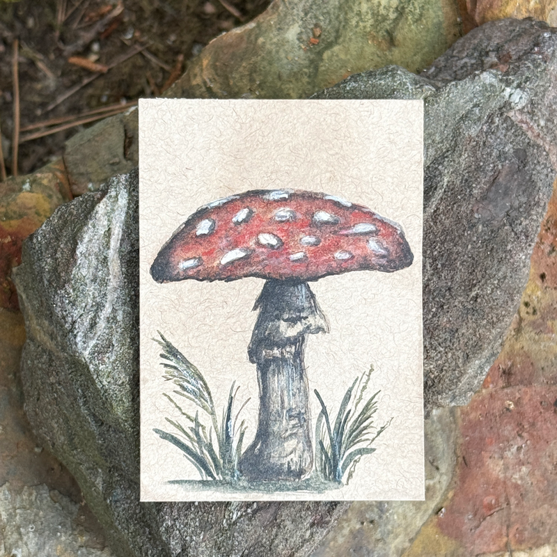ACEO Watercolor Nature Collection “Mushroom” aceo art card
