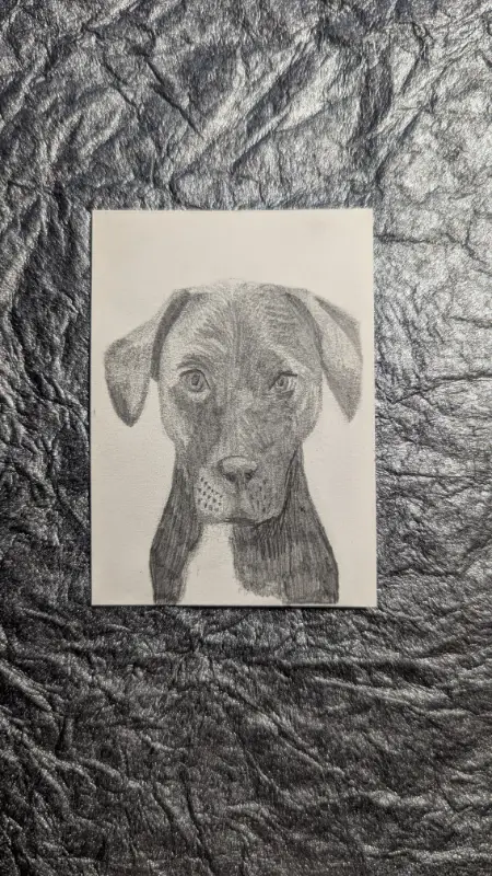 Ripley aceo art card