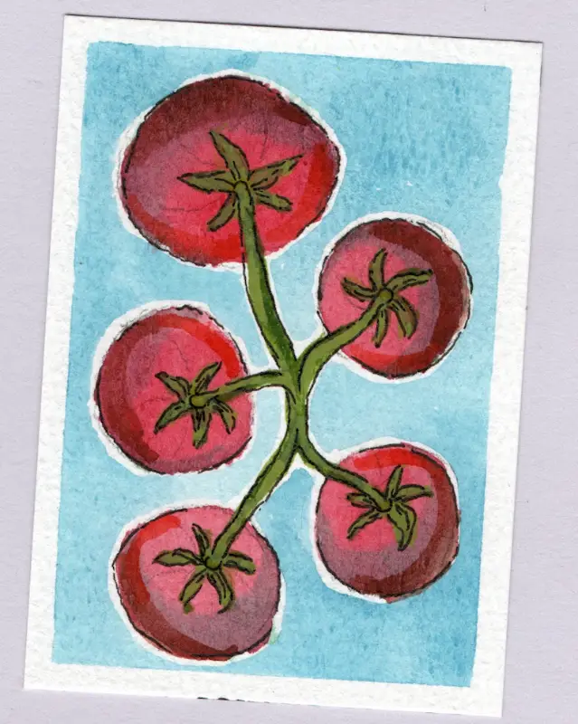 A Vine of Maters aceo art card