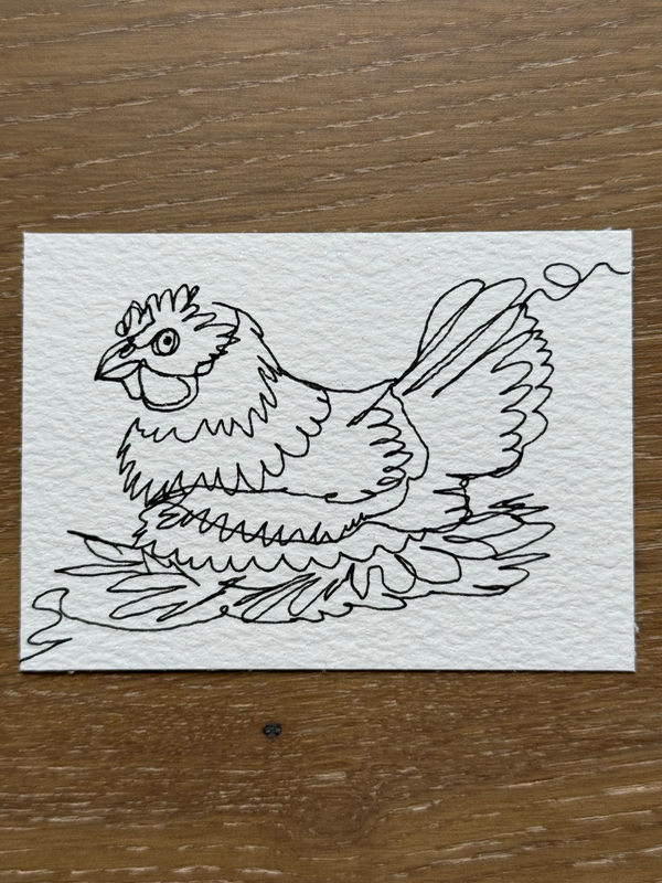 Continuous Line Nesting Chicken aceo art card