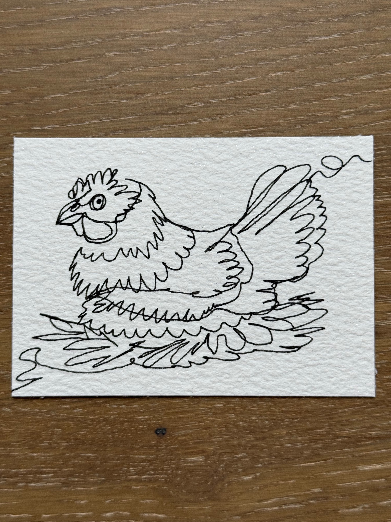 Continuous Line Nesting Chicken aceo art card