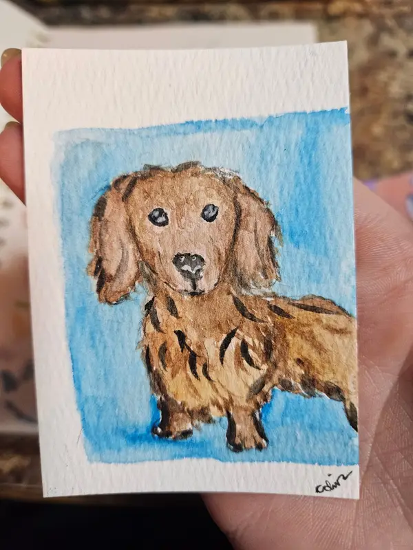 Ezra, Dachshund aceo art card