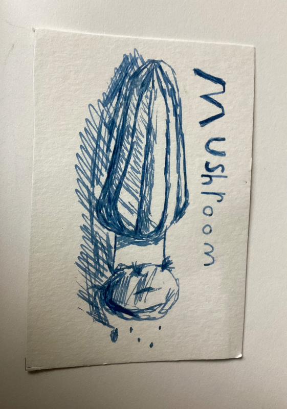 Blue mushroom! aceo art card
