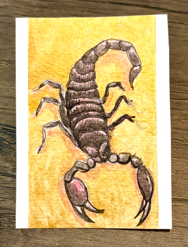 Scorpion Scaries aceo art card