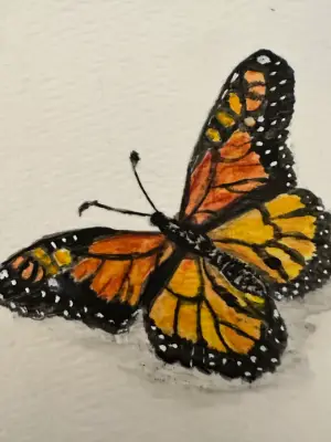 Monarch Butterfly ACEO Original Watercolor – Hand-Painted Art Card aceo art card thumbnail 2