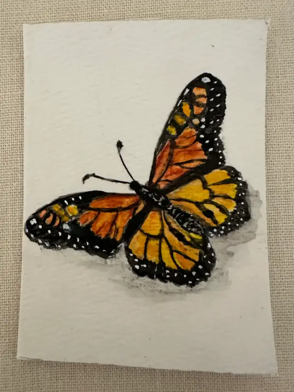 Monarch Butterfly ACEO Original Watercolor – Hand-Painted Art Card aceo art card