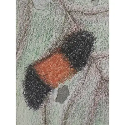 Wooly worm aceo art card thumbnail 2