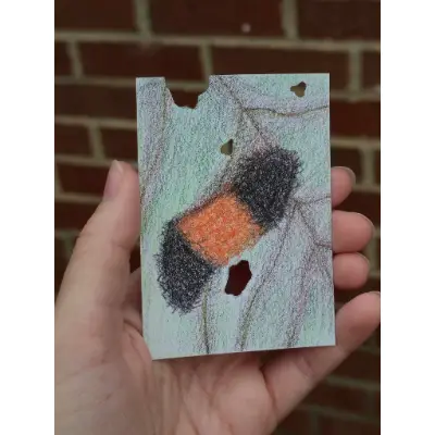 Wooly worm aceo art card thumbnail 1