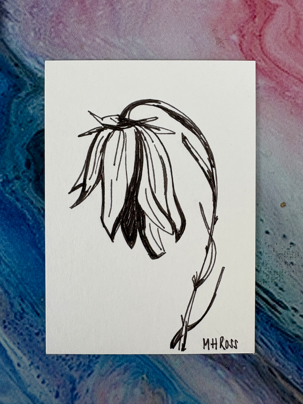 Wilting Lilly aceo art card