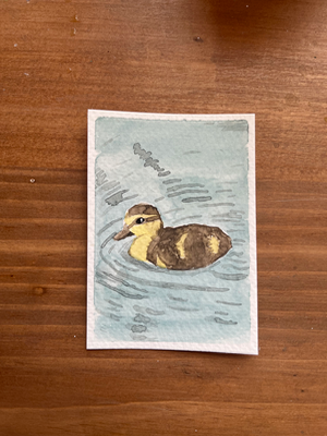 Wading Duckling aceo art card thumbnail 1
