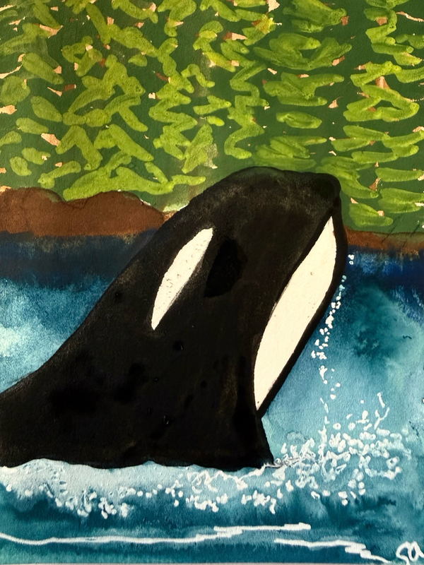 Orca Rising aceo art card