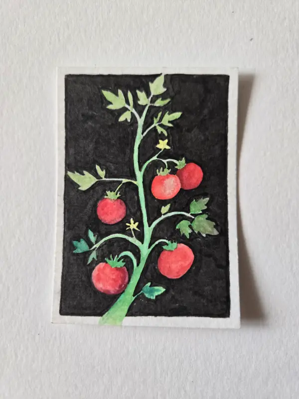 Tangy Tomatoes aceo art card