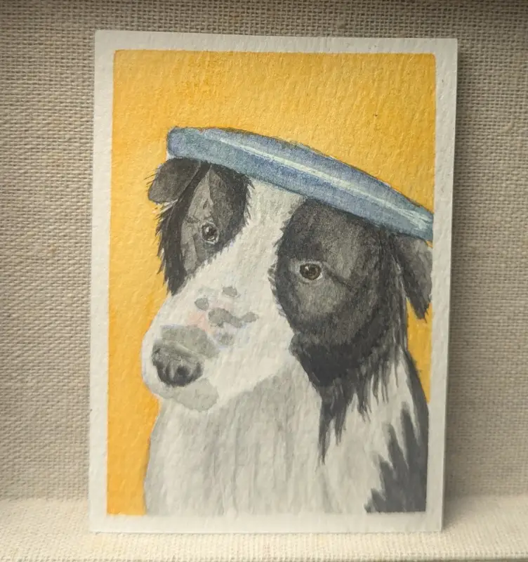 Frisbee Hat aceo art card