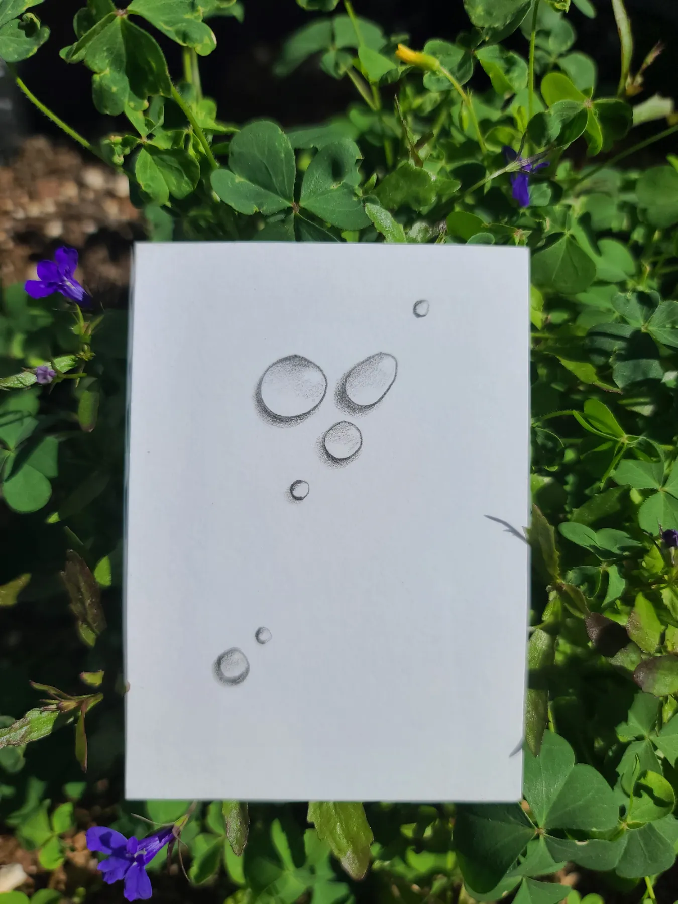 Water Droplet Study #1 aceo art card
