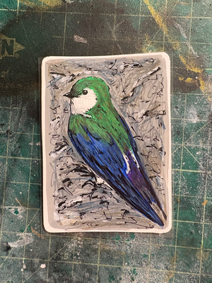 Violet-Green Swallow aceo art card thumbnail 1
