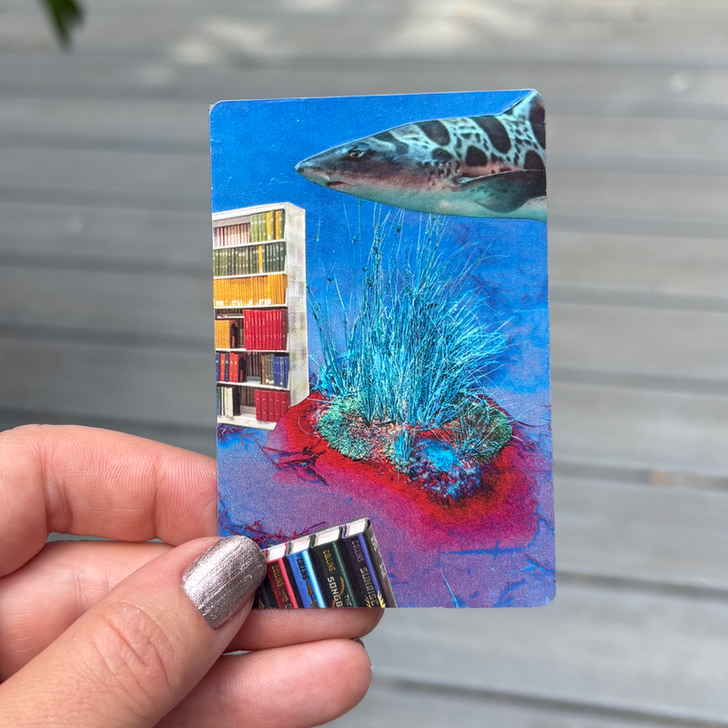 Sharks and Books aceo art card