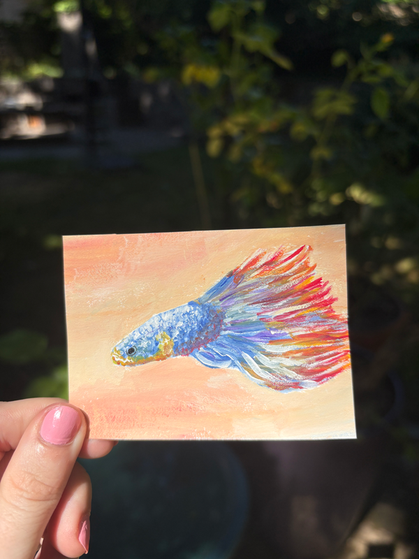 Original Betta Fish ACEO Painting Acrylic Mini Art OOAK Colorful Tropical Fish aceo art card