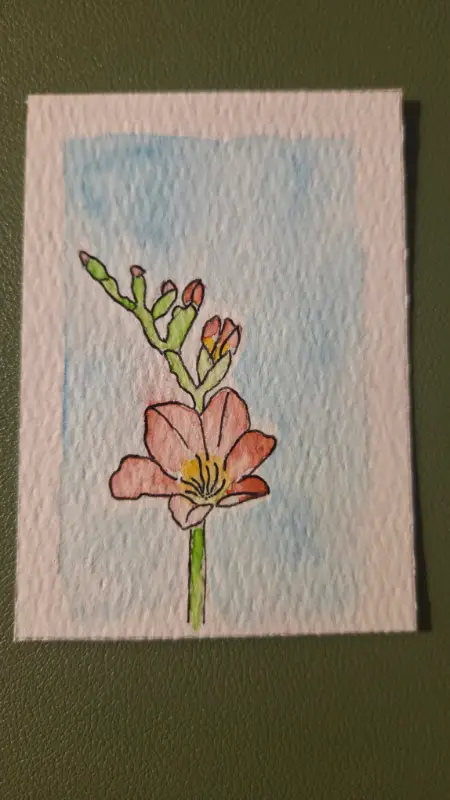 The Vibrant Garden: Freesia aceo art card