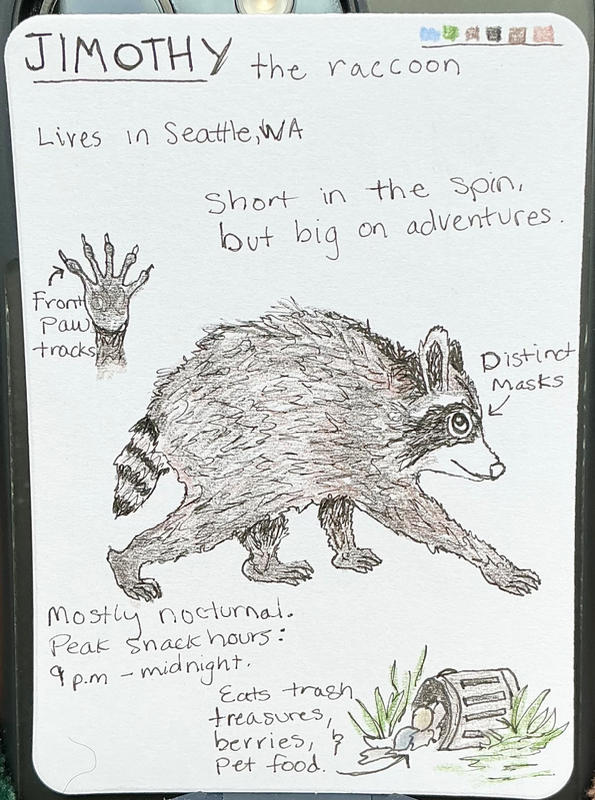 Jimothy the Raccoon aceo art card