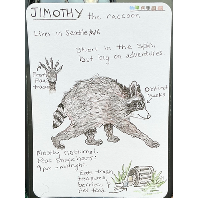 Jimothy the Raccoon aceo art card thumbnail 1