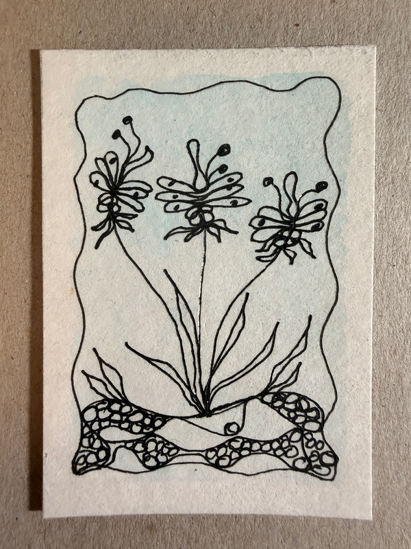 Lillies aceo art card