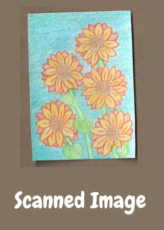 Summer Fun aceo art card