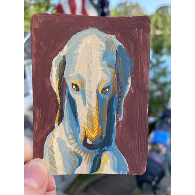 Nose down aceo art card thumbnail 1