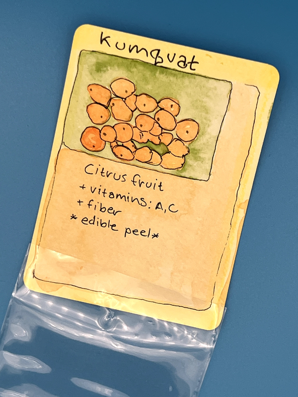 Kumquat 9/99 aceo art card