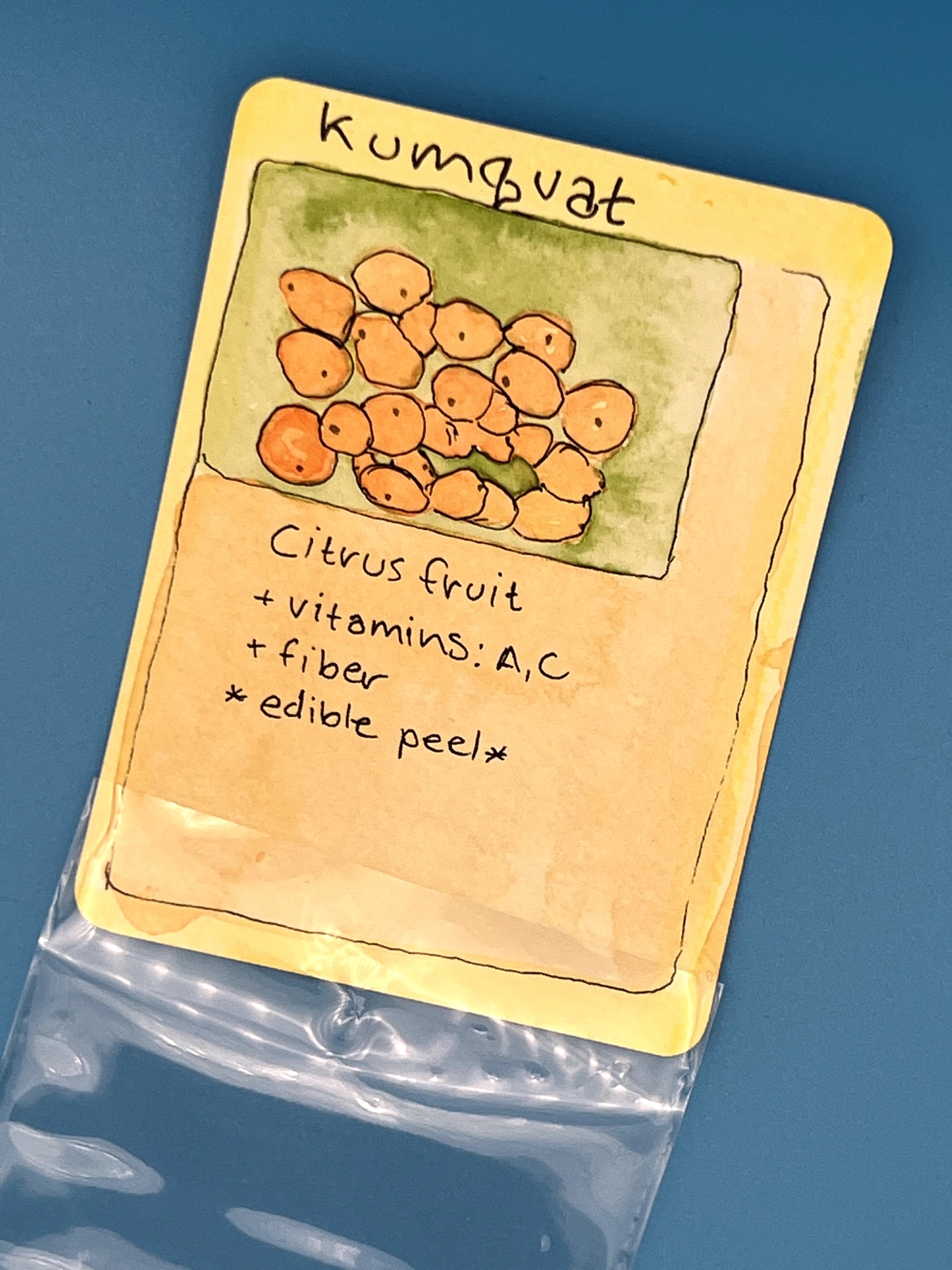 Kumquat 9/99 aceo art card