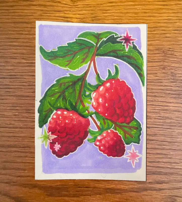 Fruit - Raspberry Illustration aceo art card