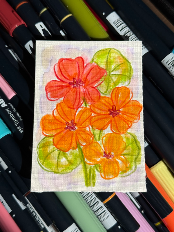 Nasturtium aceo art card