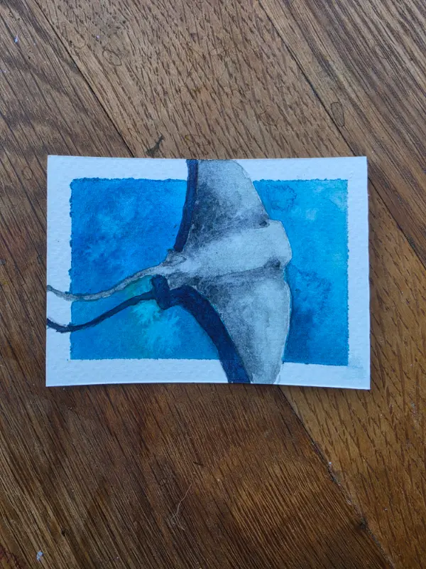 Ocean Flight aceo art card