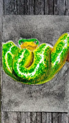Cozy Tree Python Watercolor aceo art card thumbnail 1