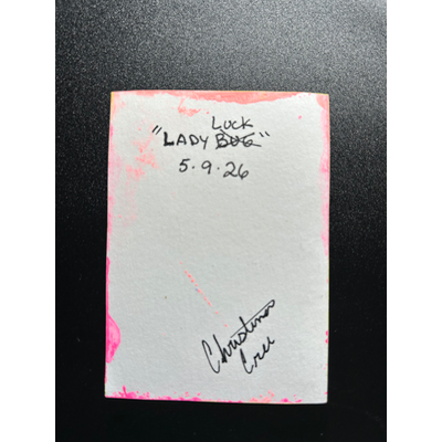 Lady (Bug) Luck aceo art card thumbnail 2