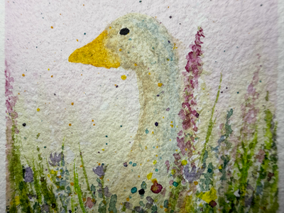Meadow Duck aceo art card thumbnail 2