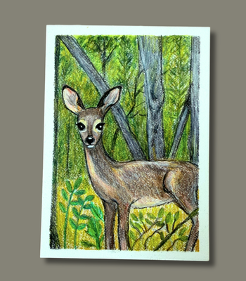 Doe in the Woods - Original ACEO Colored Pencil Drawing - Deer Art aceo art card thumbnail 2