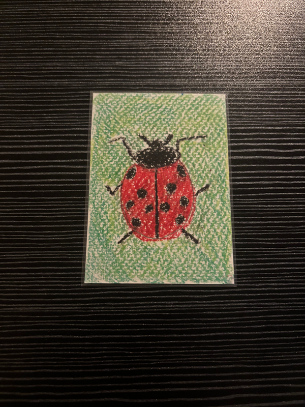 Ladybug aceo art card