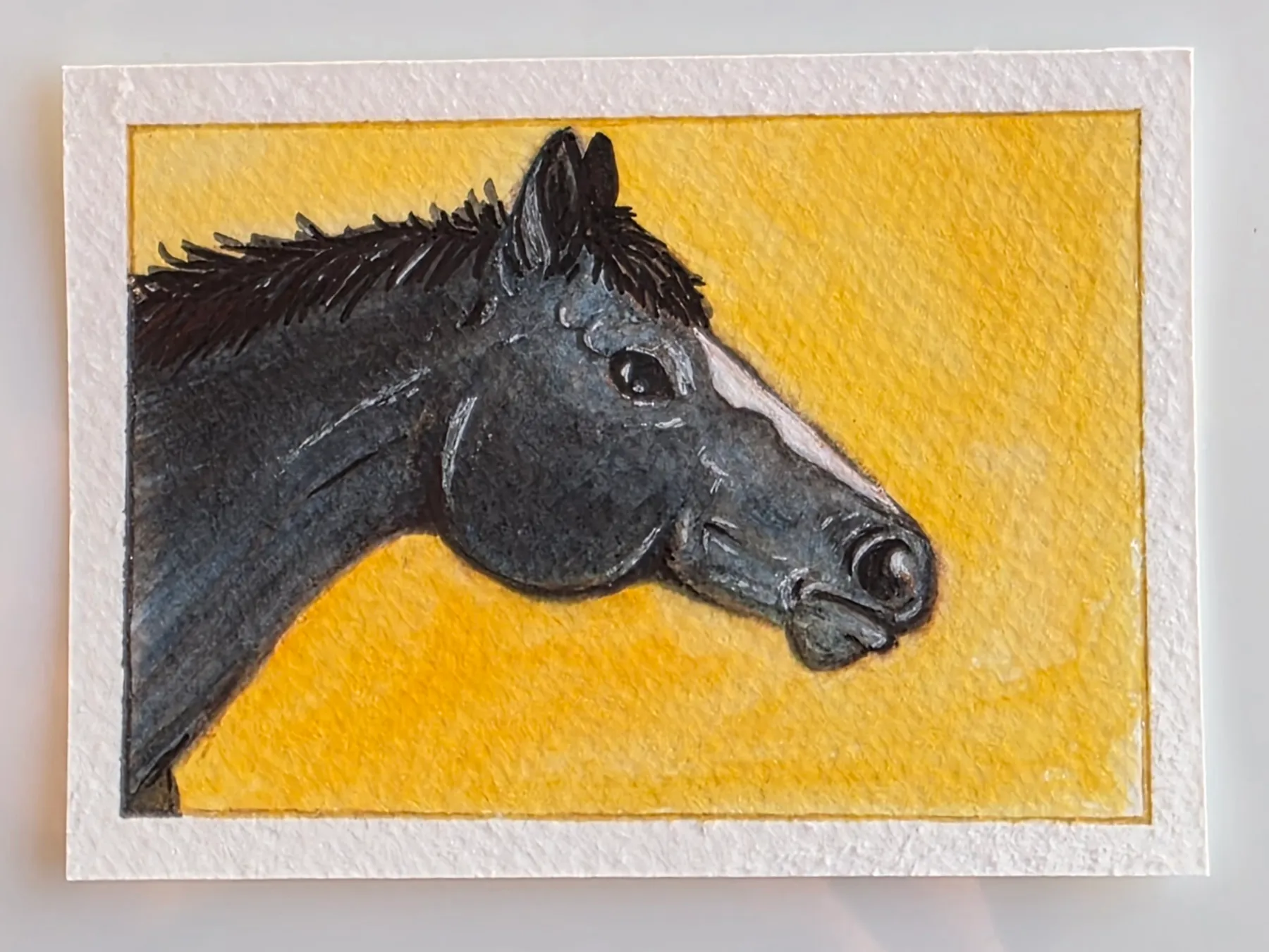 Black horse profile aceo art card