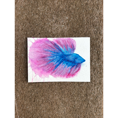 Abstract Pink/Blue Fighter Beta Fish Surrealism aceo art card thumbnail 2