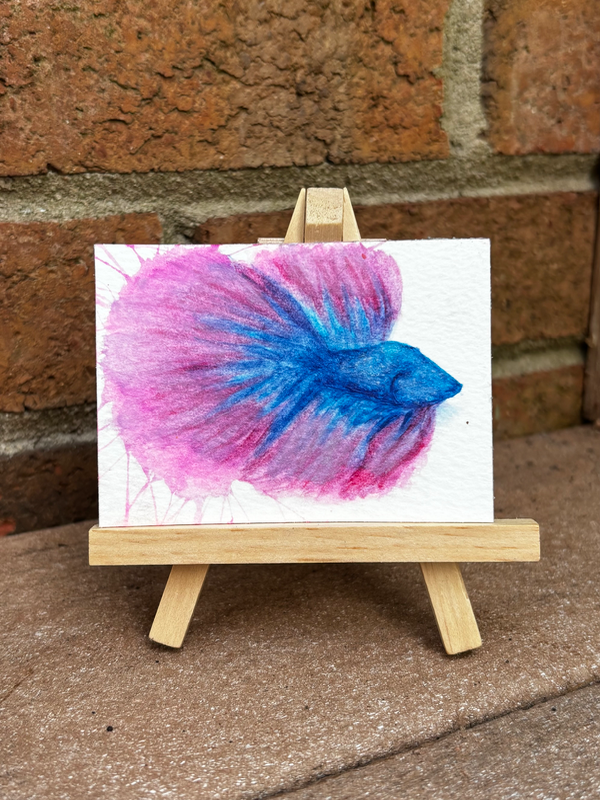 Abstract Pink/Blue Fighter Beta Fish Surrealism aceo art card